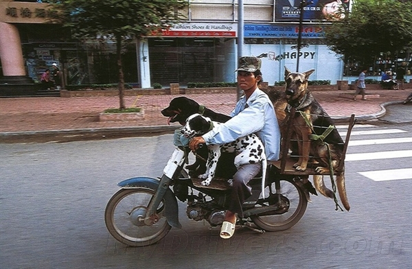 ۽ ԽϷصĵ綯