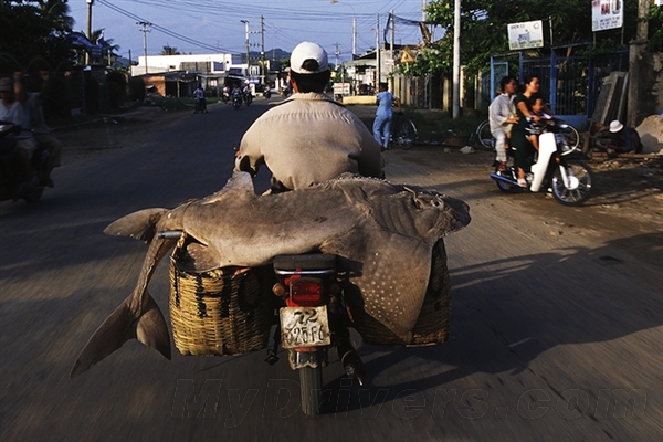 ۽ ԽϷصĵ綯