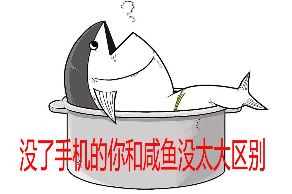 ֻĴ̫ ¶޽⣿