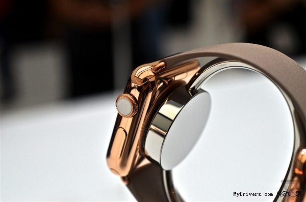 Apple Watchֳʵģƻֱջ