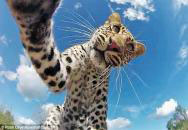 ޱ ԭҲ