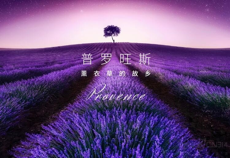 Z18mini��ɫ�� ������˹��ζ�����������