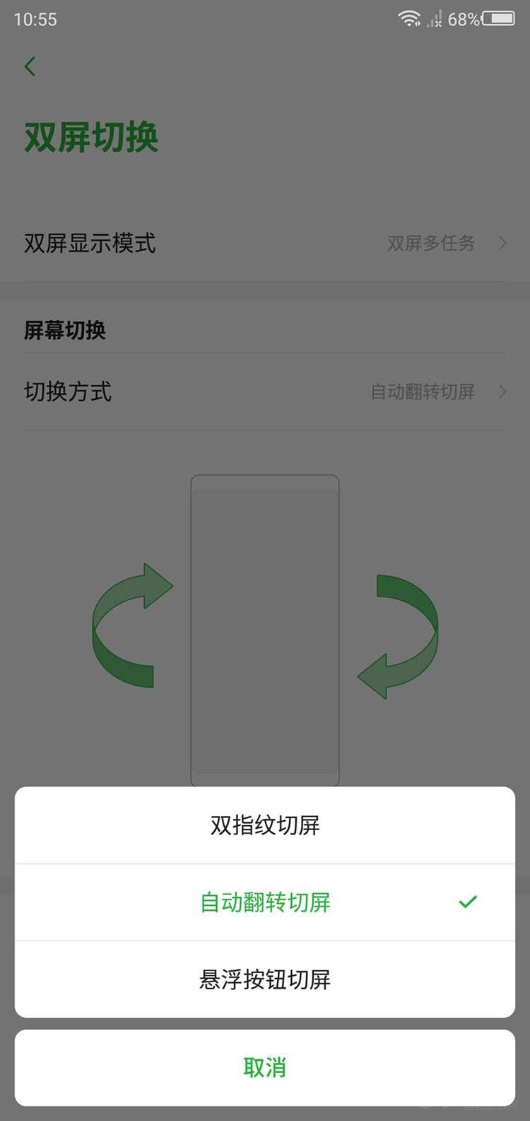 ˫