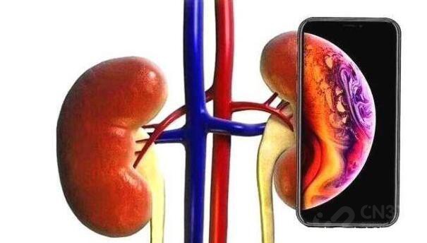 2019̵ֻ λĶֲ