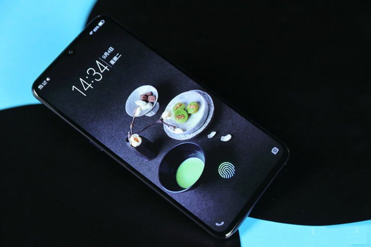 vivo