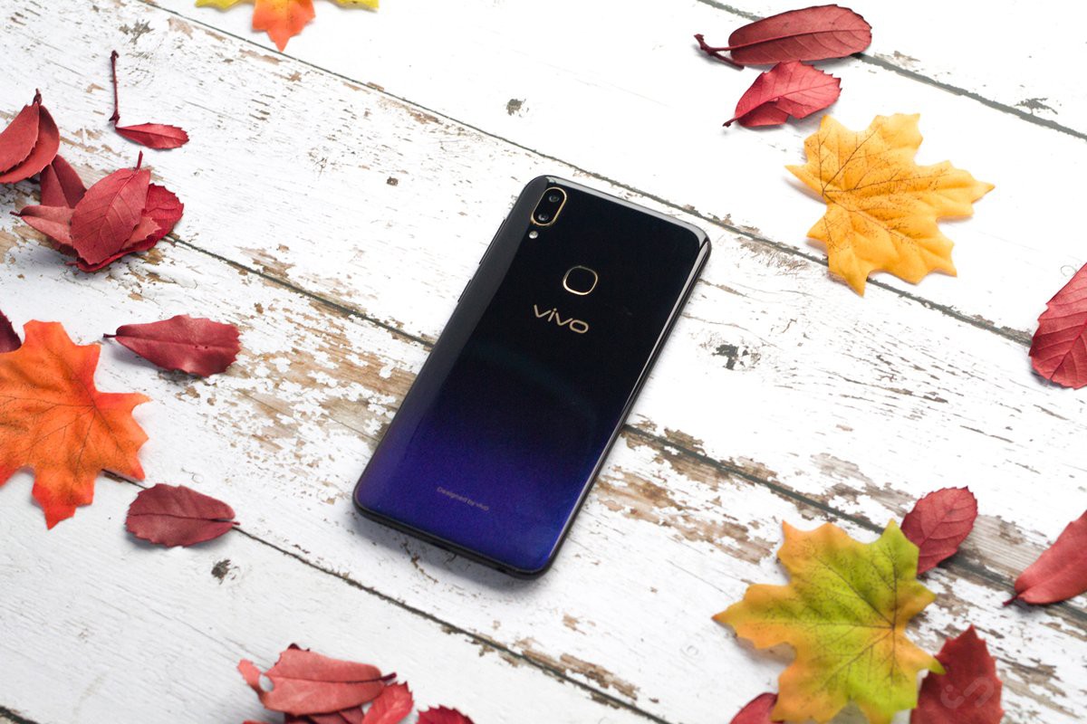 vivo