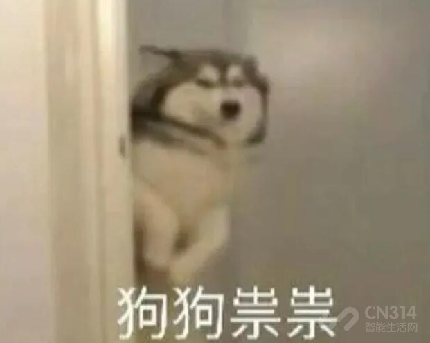 Y90羺ֻըѣ
