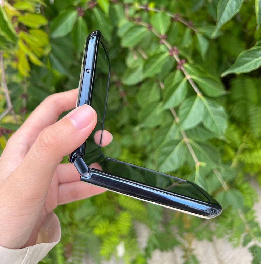 moto razr 2022֮