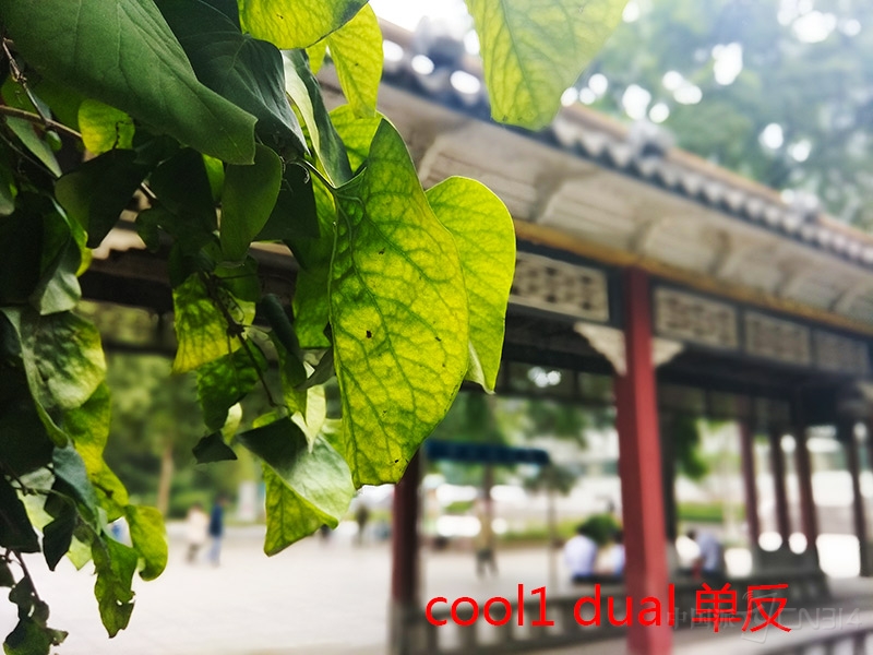 d040832fdd9f28e249b693cbd1023537.jpg