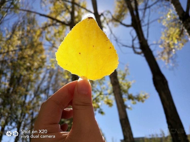 2018����Щ�ֻ�����Ч����ã�������OK