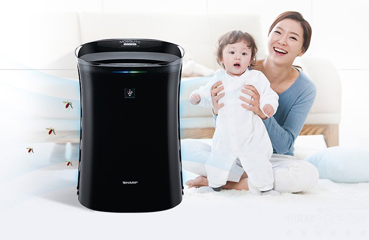 ���ϰֵ��������� �⼸����Ʒ�ͺܺ��ʣ�