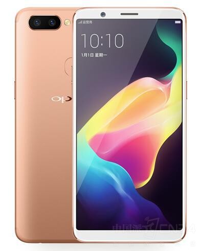 ���ٸ�С�����PK ���»����ڳԼ������