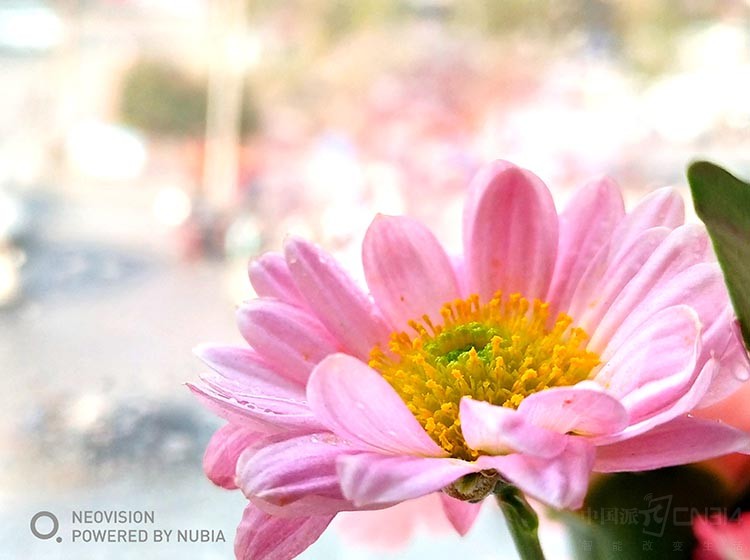 Ŭ���Ǹ�����˫�������� ����������200