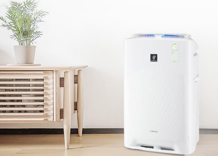 �¼Ҽ�ȩ���������������������Ǳ����