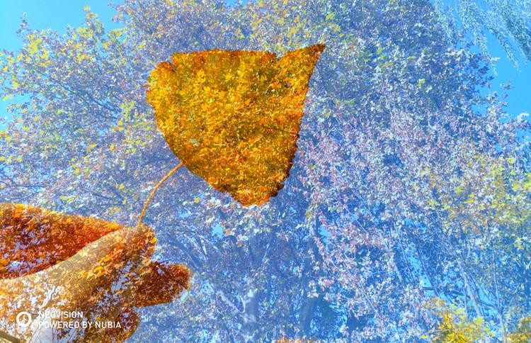 ������ֵ���֮ѡ Z17miniSֻ��1699Ԫ��