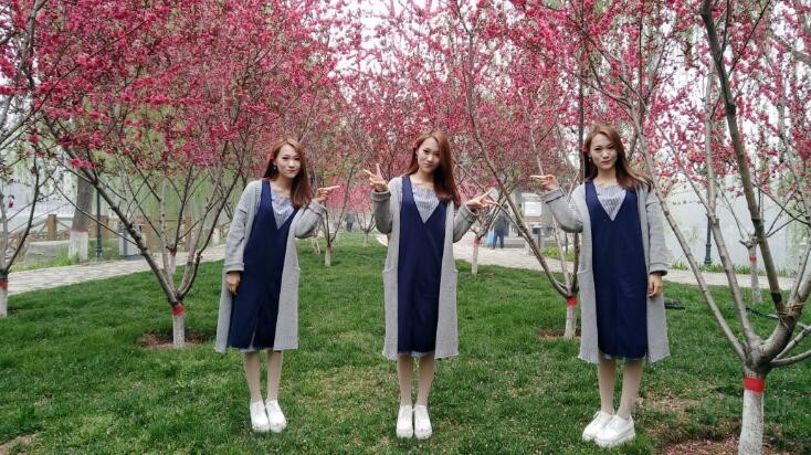 ǧԪ���Լ۱� �ߴ�СţZ17miniֻҪ1099