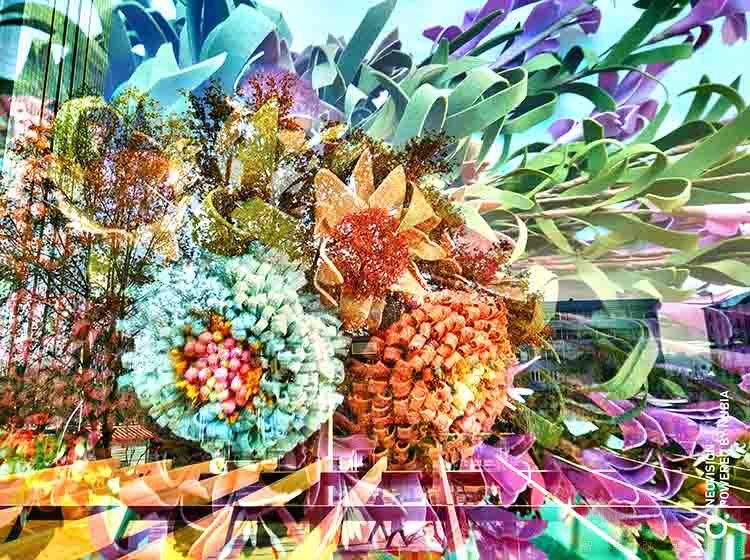 ���PS�͵������ ����ֻ���������ع�