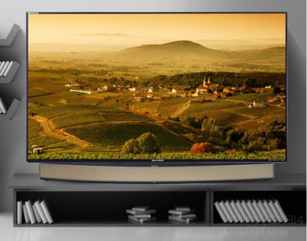 追求品质生活的你,大屏彩电绝对是必需