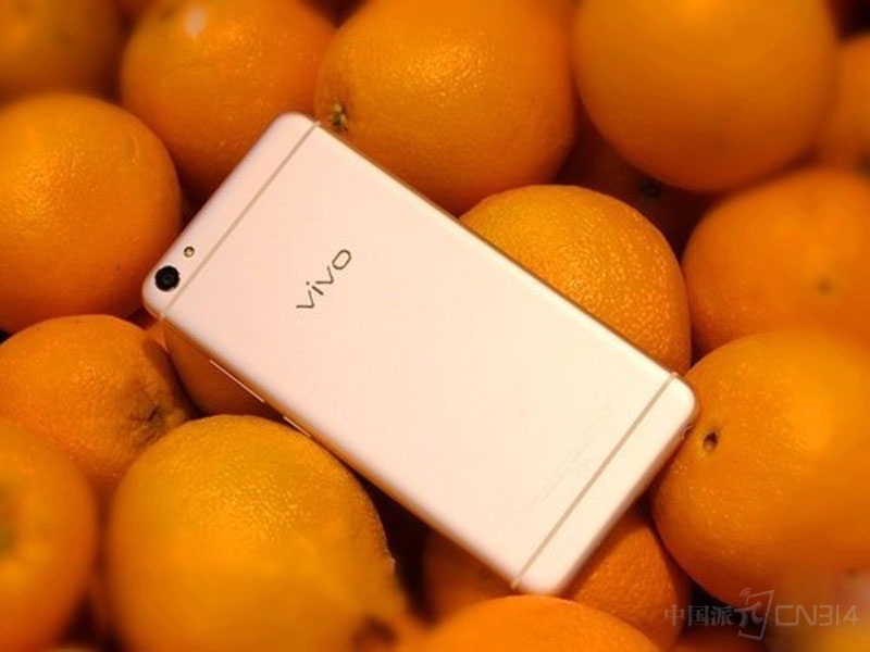 VIVO.jpg