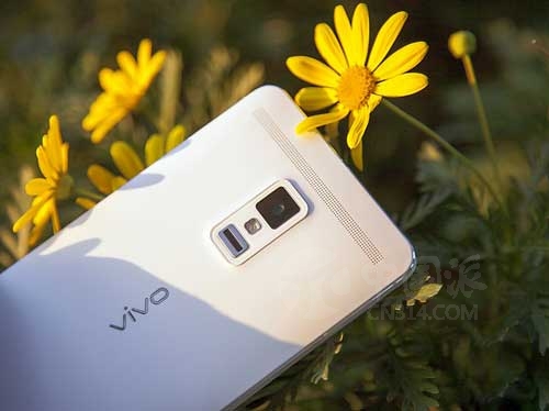vivo