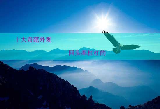 0eb9e8db-4f88-4058-823f-a90e65bc3757.jpg