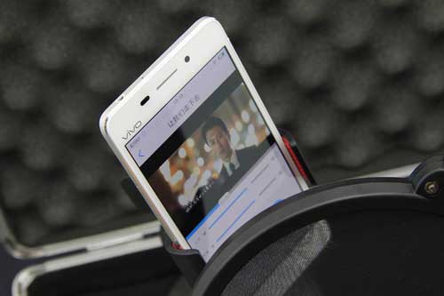 vivo4.jpg