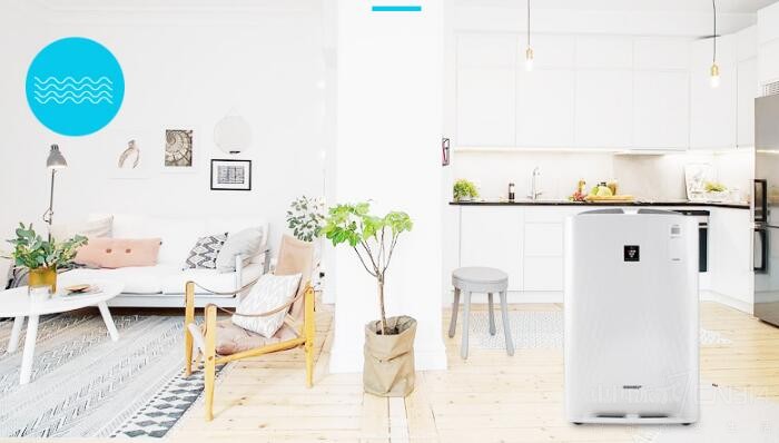 �¼Ҽ�ȩ���������������������Ǳ����