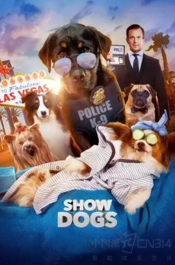 ���Ŵ�Ƭ���ʲ��� ��׼����ô���ܾ��ʣ�