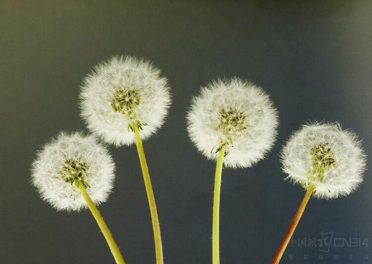 ��һֱ�Ĳ����˶����� ������û�ö��ֻ�