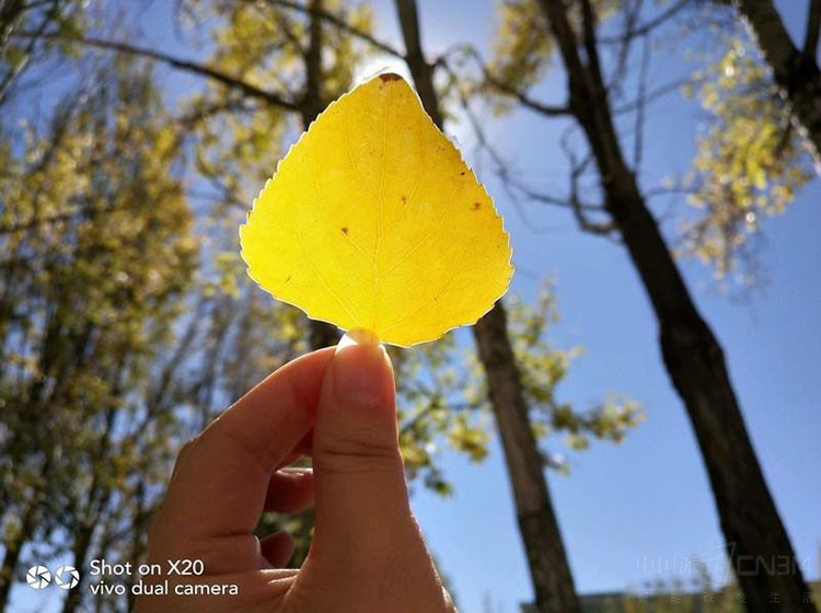 �����ֻ������ ��Щ�ֻ����ܴ��������