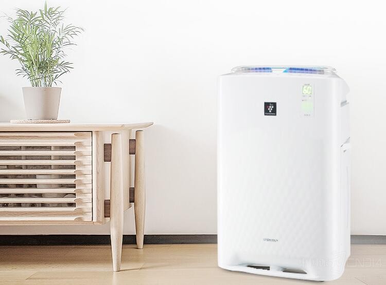 ɳ�����ˣ���Щ���������������˽�һ�£�