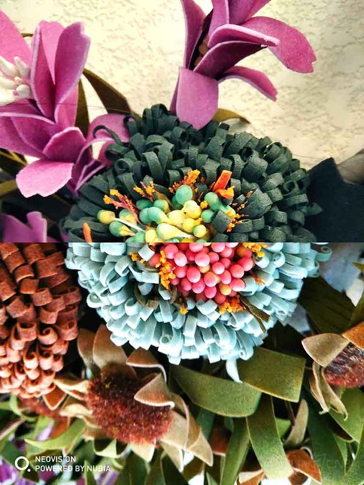 ���PS�͵������ ����ֻ���������ع�