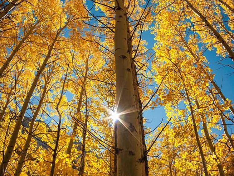 ��è315Ʒ�ʼҵ�� ������ӵ��¸߶ȣ�