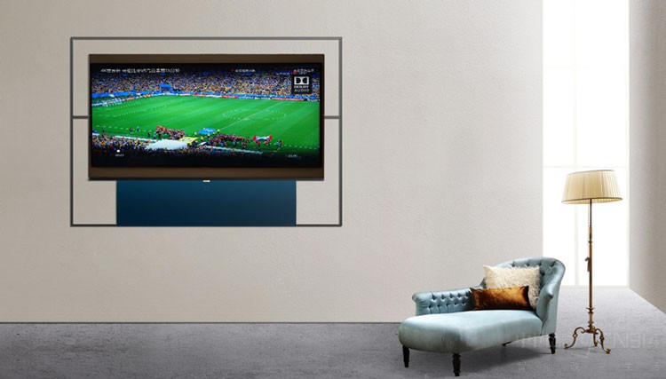 XESSȫTV˴