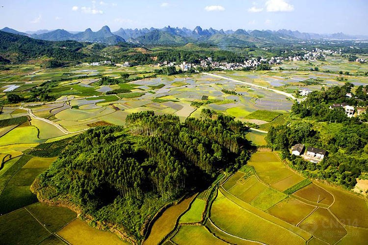 󽮡Mavic 2佹 ҵӰ