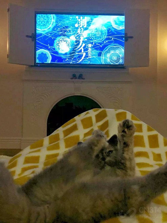 õӱ׼ģ˽°ɣ