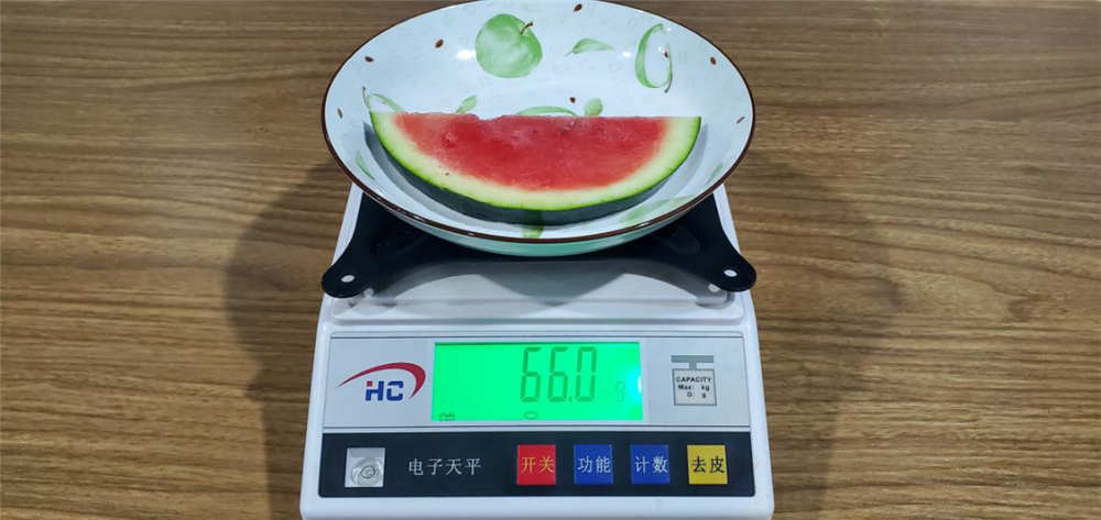 606⣺Ͽ֤