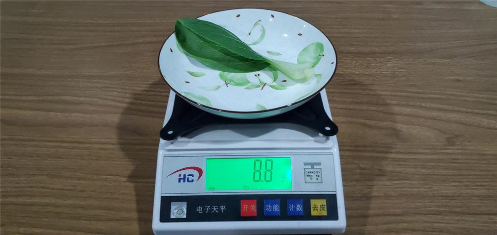 美的545升冰箱评测：能保鲜还能净味除菌