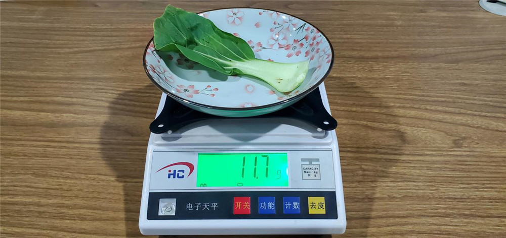 美的545升冰箱评测：能保鲜还能净味除菌