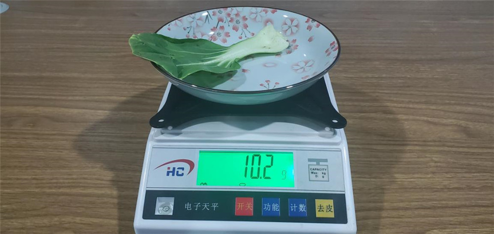 美的545升冰箱评测：能保鲜还能净味除菌