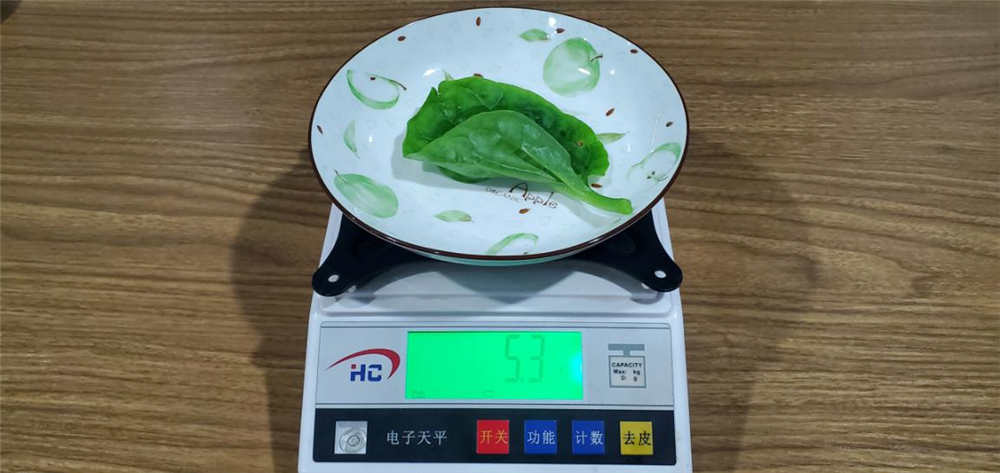 606飺ڰ