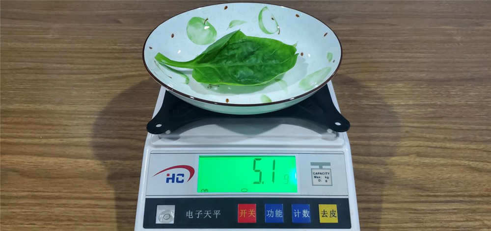 606飺ڰ