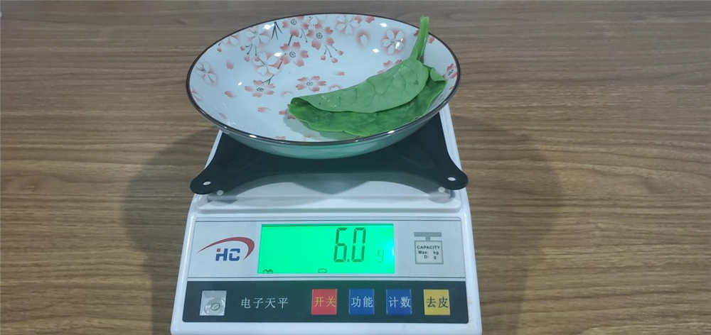 606飺ڰ