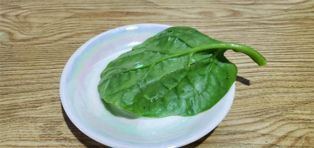 606飺ڰ