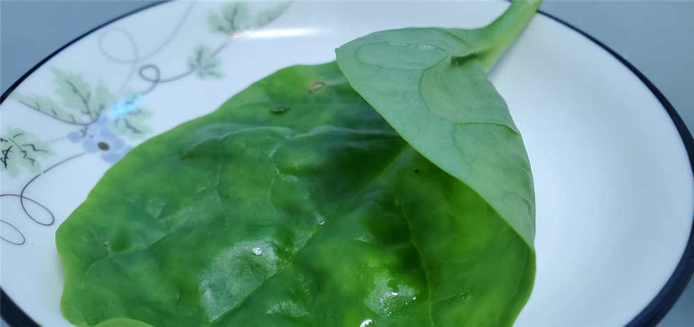 606飺ڰ