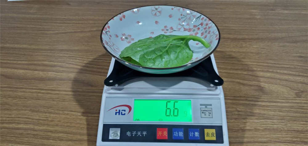 606飺ڰ