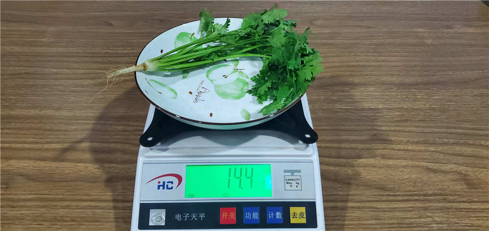 545飺ܶżˣ