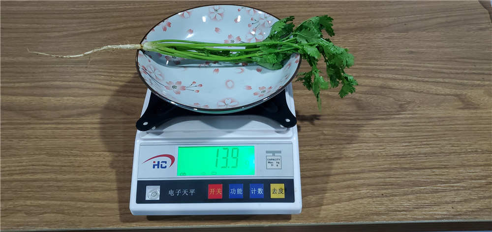 545飺ܶżˣ