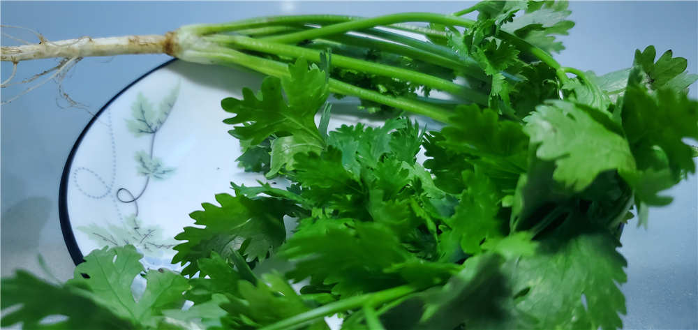 545飺ܶżˣ
