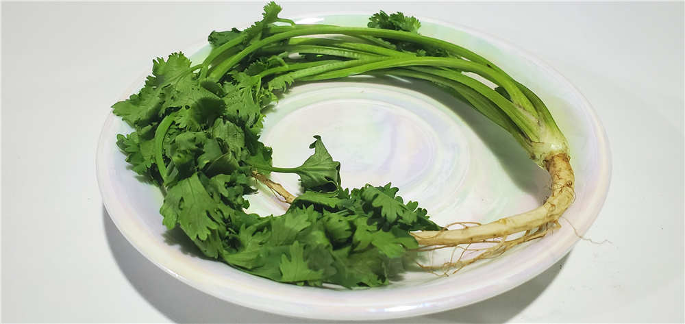 545飺ܶżˣ
